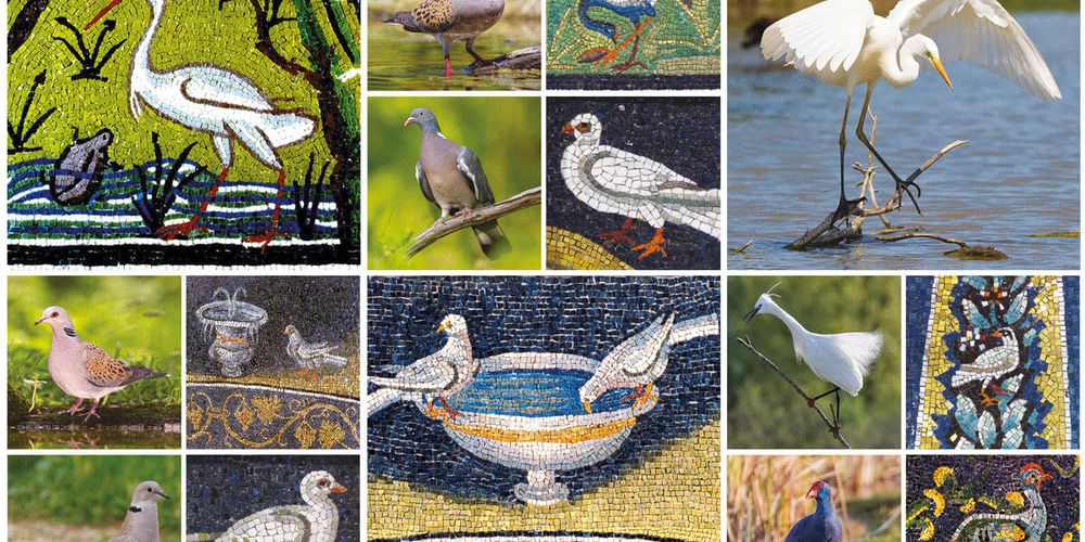Il Patrimonio della Biodiversità - Mosaico e Natura